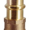 Threaded Brass Fitting | Female Adaptor GP4270